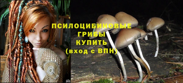 эйфоретик Верея