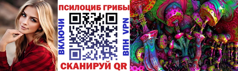 Купить  Протвино  Галлюциногенные грибы Psilocybe 